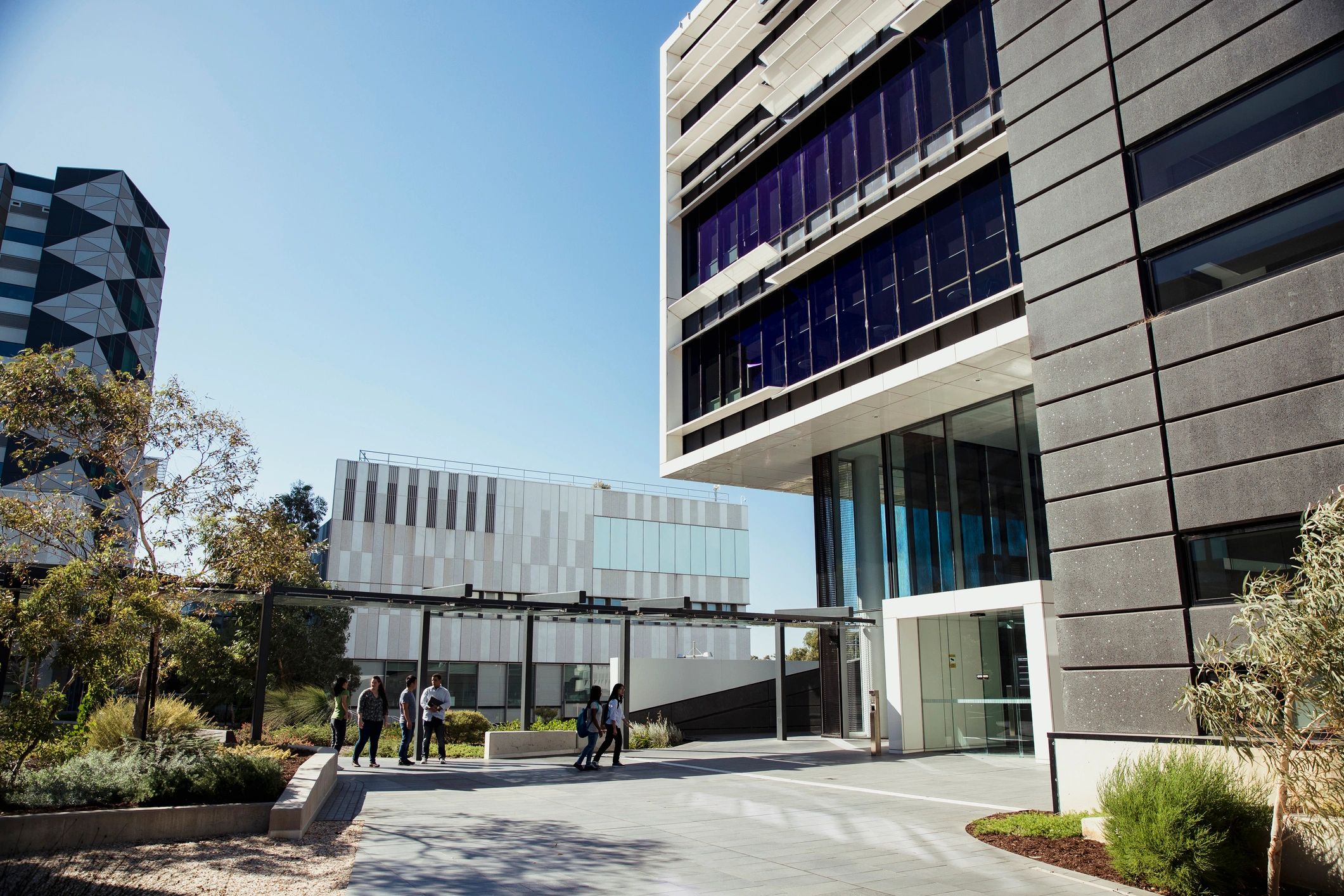 University students walking across campus